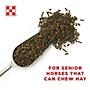Equine Senior *Active*  50lbs Purina