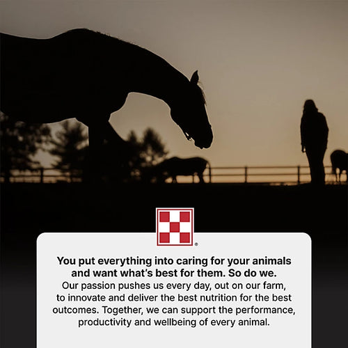 Outlast Gastric Support 40lbs Purina