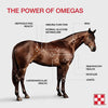 OIL- Omega Match 32oz- Purina