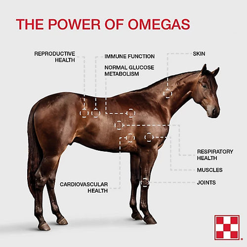 OIL- Omega Match 32oz- Purina