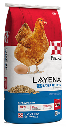 Layena  Pellets - Layer  50lbs