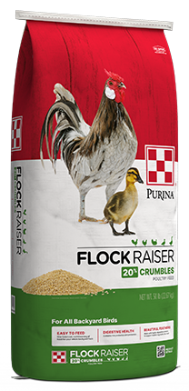 Flock Raiser Crumbles 50lbs  - non medicated