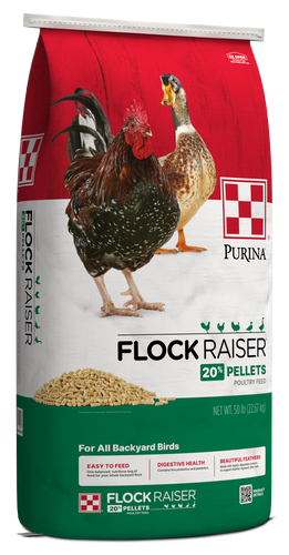 Flock Raiser Pellets 50lbs  - Non Medicated