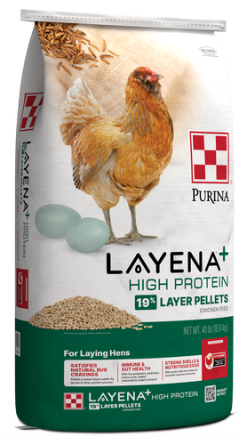 Layena *High Protein* 40lbs Pellets