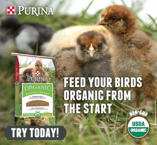 Organic Chick Starter/Grower 35lbs Purina