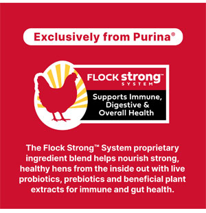 Farm to Flock Layer 50lbs Purina
