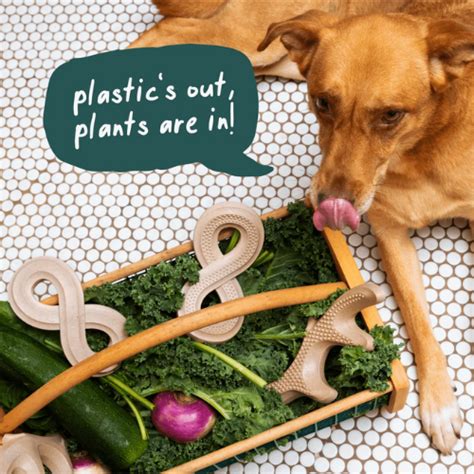 Woof Honest Chew- Infinity Bone - Large  60+lbs