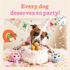 Woof- Birthday Pupsicle - Small - Pink or Blue