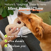 Woof Honest Chew- Infinity Bone - Large  60+lbs