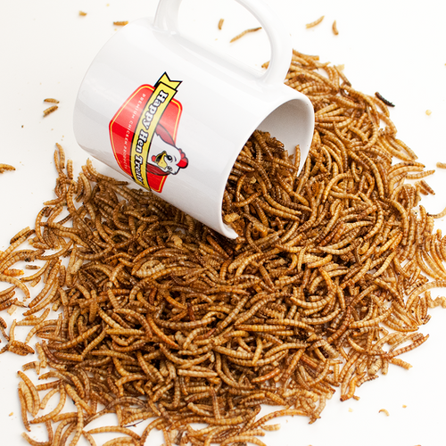 Happy Hen Treats Mealworm Frenzy (3.5-oz)