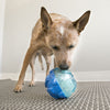 Kong Rewards Ball (Large)