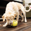 KONG Rewards Tennis (Large)
