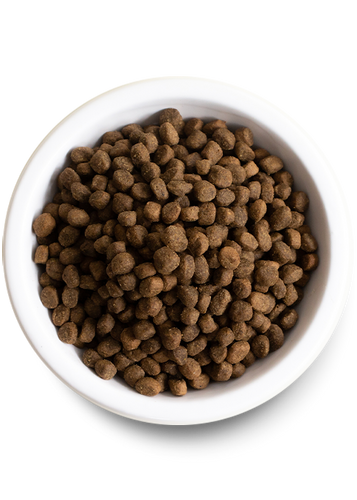 Open Farm Homestead Turkey & Ancient Grains Dry Dog Food (4-lbs)