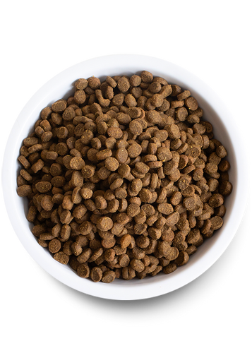 Open Farm Homestead Turkey & Chicken Dry Cat Food (4-lbs)