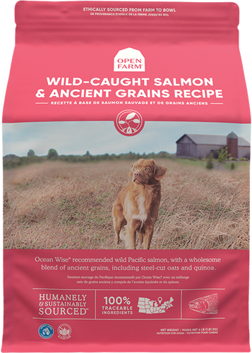 Open Farm Wild-Caught Salmon & Ancient Grains Dry Dog Food (11-lbs)