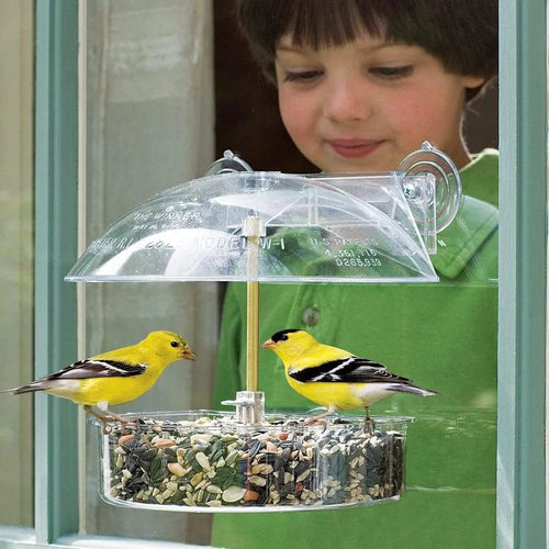 Classic Brands Droll Yankees® The Winner® Window Bird Feeder (8 inch)