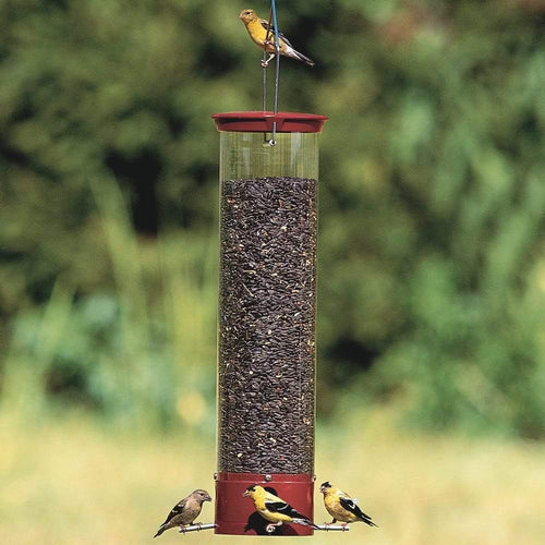 Classic Brands Droll Yankees® Yankee Dipper® Squirrel-Proof Bird Feeder (5 lb. capacity)