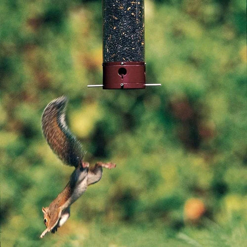 Classic Brands Droll Yankees® Yankee Dipper® Squirrel-Proof Bird Feeder (5 lb. capacity)