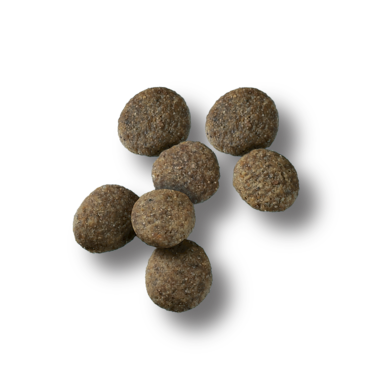 Pro Plan Sensitive Skin & Stomach Salmon & Rice Large Breed Probiotic Dry Puppy Food (24 Lb)