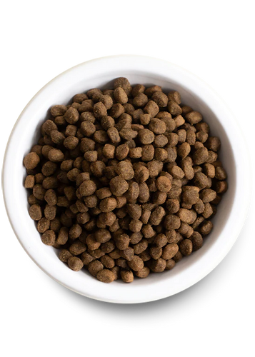 Open Farm Catch-of-the-Season Whitefish & Ancient Grains Dry Dog Food (4 Lb)