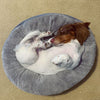 Tall Tails Dream Chaser Donut Bed (Charcoal 18 x 18)