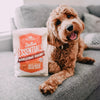 Stella & Chewy's Stella's Essentials Grass-Fed Beef & Ancient Grains Recipe Dry Dog Food (25-lb)