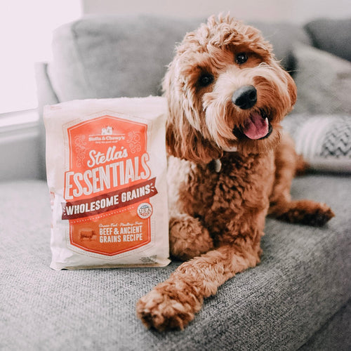 Stella & Chewy's Stella's Essentials Grass-Fed Beef & Ancient Grains Recipe Dry Dog Food (25-lb)