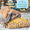 Oxbow Animal Health Enriched Life - Celebration Party Pack (1  Count)