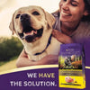Zignature Limited Ingredient Turkey Formula Dry Dog Food (12.5-lb)