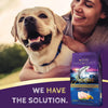 Zignature Limited Ingredient Trout & Salmon Formula Dry Dog Food (25-lb)