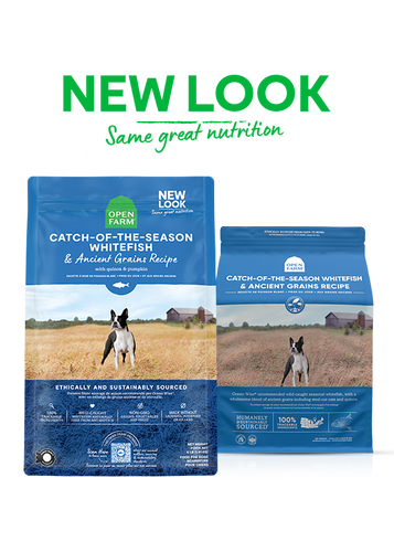 Open Farm Catch-of-the-Season Whitefish & Ancient Grains Dry Dog Food (4 Lb)
