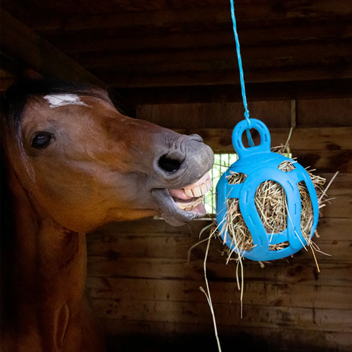Horsemen's Pride Jolly Hay Ball Stall Toy for Horses (Green)