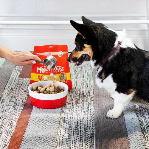 Stella & Chewy's Freeze Dried Raw Chewy's Chicken Meal Mixers Dog Food Topper (18-oz)