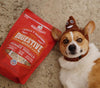 Stella & Chewy's Stella's Solutions Grain Free Digestive Boost Grass Fed Beef Dinner Morsels Freeze-Dried Raw Dog Food (13-oz)