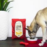 Stella & Chewy's Cage-Free Chicken Raw Coated Kibble (10 lb)