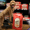 Stella & Chewy's Grass-Fed Beef Raw Coated Kibble (10 lb)