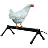 THERMO-CHICKEN PERCHER (26 INCH/40 WATT)