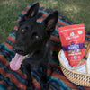 Stella & Chewy's Freeze-Dried Raw Dinner Patties For Dogs Absolutely Rabbit Recipe (14-oz)