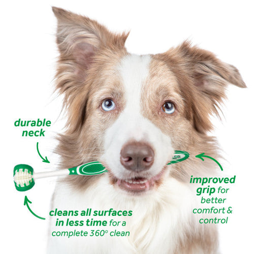 TropiClean Fresh Breath Total Care Kit (Large Dogs)