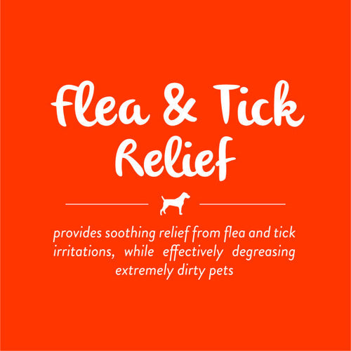 TropiClean Neem & Citrus Flea & Tick Relief Shampoo for Dogs (20 oz)