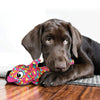 Kong Wubba Finz Pink Dog Toy (Large / Pink)