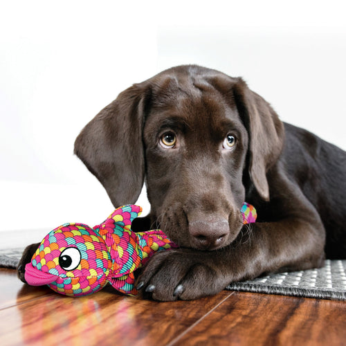 Kong Wubba Finz Pink Dog Toy (Large / Pink)