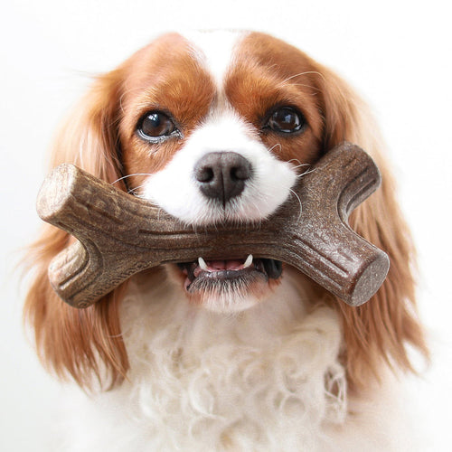 Benebone Bacon Stick (MD)