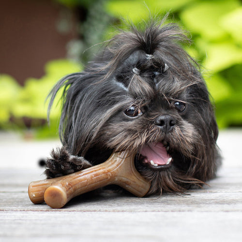 Benebone Bacon Stick (MD)