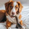 Benebone Bacon Stick (MD)