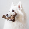 Benebone Bacon Stick (MD)