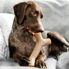 Benebone Bacon Stick (MD)