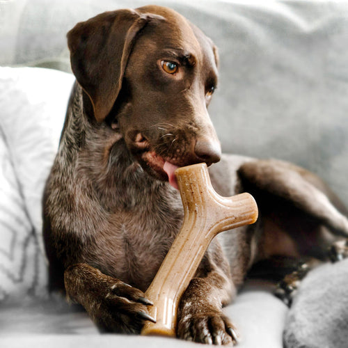 Benebone Bacon Stick (MD)