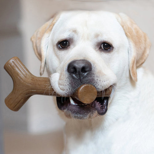 Benebone Bacon Stick (MD)