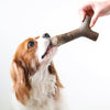 Benebone Maplestick (Maple Large)